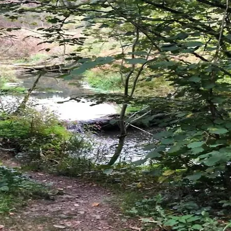 Дом отдыха Ardennes For 21 Guests