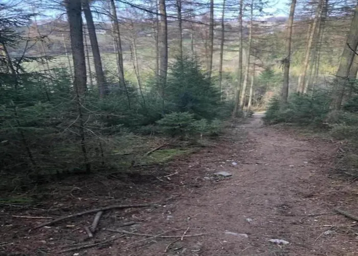 Ardennes For 21 Guests *