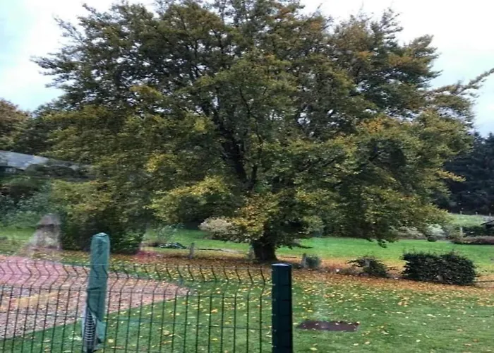 Ardennes For 21 Guests * Stavelot