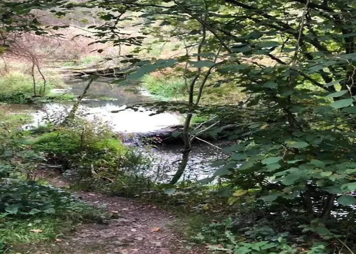 Casa de Férias Ardennes For 21 Guests